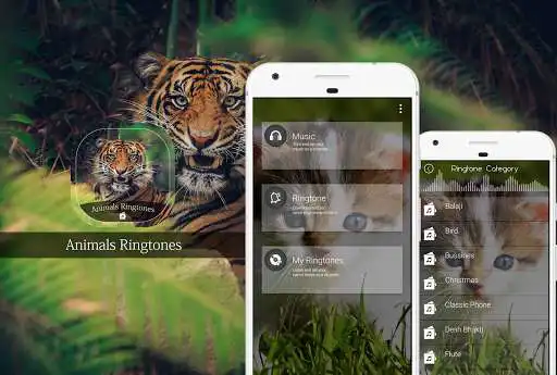 Play Animals Ringtone  and enjoy Animals Ringtone with UptoPlay