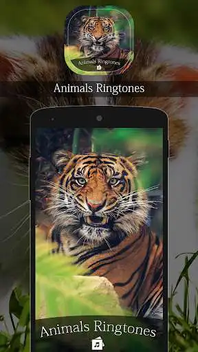 Play Animals Ringtone as an online game Animals Ringtone with UptoPlay