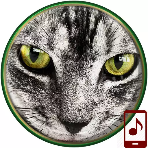 Free play online Animals Ringtones APK Free play online Animals Ringtones APK