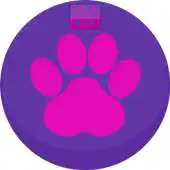 Free play online Animals: S.0.T.P Memory Match APK