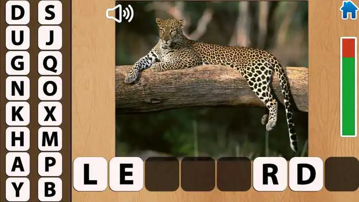 Play Animals Play Animals