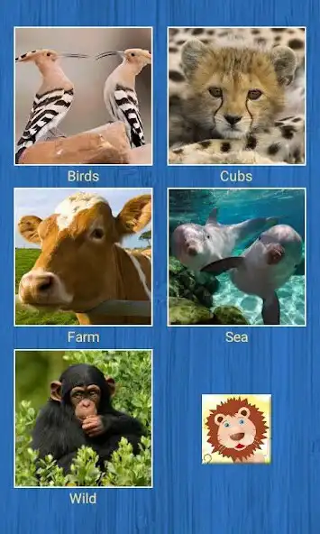 Play Animals Slide Puzzles
