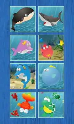 Play Animals Slide Puzzles