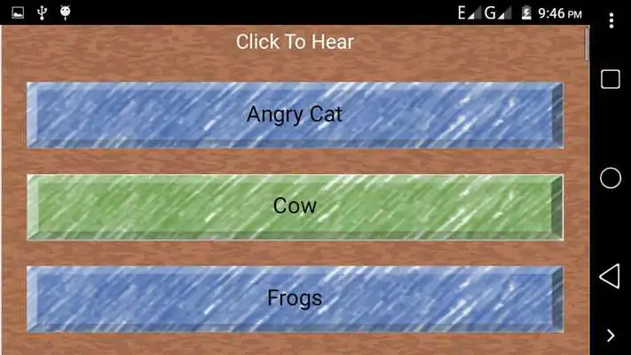 Play Animals Sound