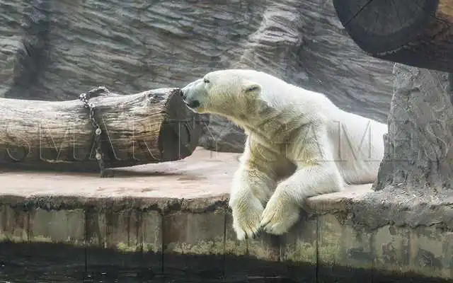 Play Animals Tile Puzzle