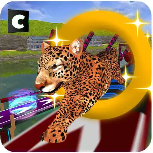 Free play online Animal Stunts in Water Park  APK