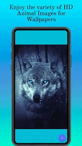Play Animals Wallpaper App as an online game Animals Wallpaper App with UptoPlay
