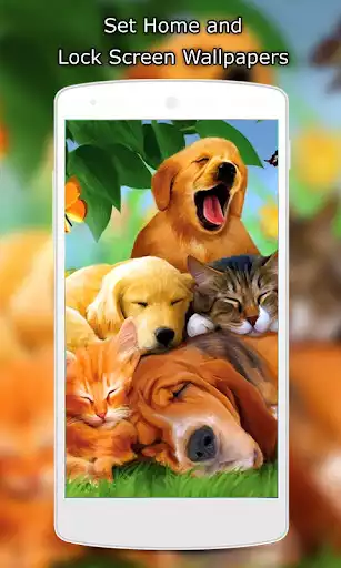 Play Animals Wallpaper HD as an online game Animals Wallpaper HD with UptoPlay