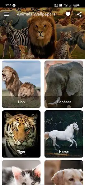 Play Animals Wallpapers HD 4K  and enjoy Animals Wallpapers HD 4K with UptoPlay