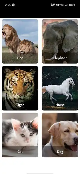 Play Animals Wallpapers HD 4K as an online game Animals Wallpapers HD 4K with UptoPlay
