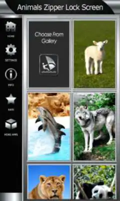 Play Animals Zipper Lock Screen