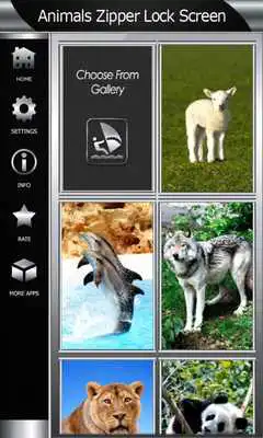 Play Animals Zipper Lock Screen