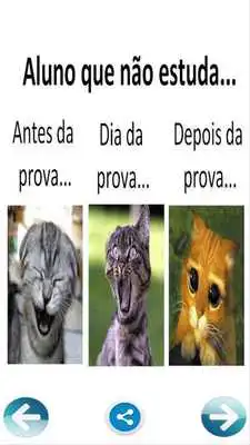 Play Animals Zueiras do Zap