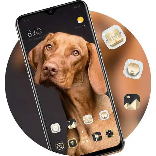 Play Animal theme Cute yellow big dog bright big eyes APK Play Animal theme Cute yellow big dog bright big eyes APK