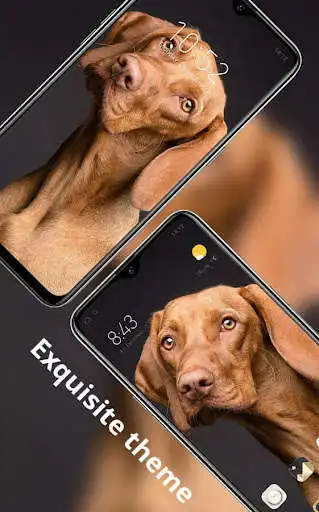 Play Animal theme Cute yellow big dog bright big eyes  and enjoy Animal theme Cute yellow big dog bright big eyes with UptoPlay