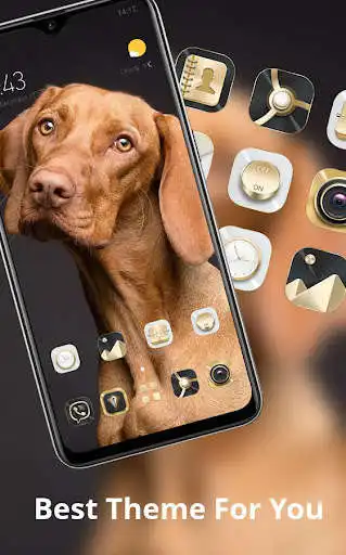 Play Animal theme Cute yellow big dog bright big eyes as an online game Animal theme Cute yellow big dog bright big eyes with UptoPlay