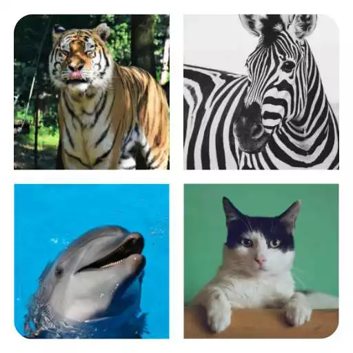 Play Animal Tiles APK