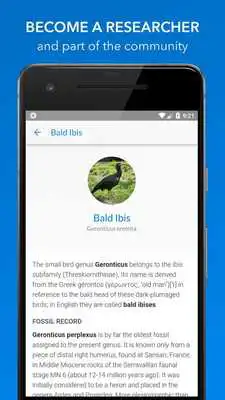 Play Animal Tracker