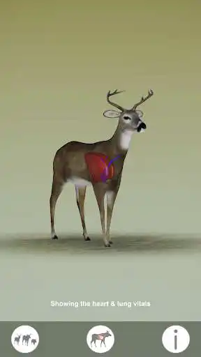 Play Animal vitals for hunters  and enjoy Animal vitals for hunters with UptoPlay