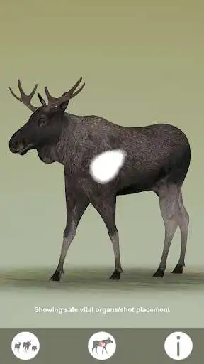 Play Animal vitals for hunters as an online game Animal vitals for hunters with UptoPlay