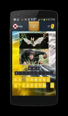 Play Animal Vocabulary