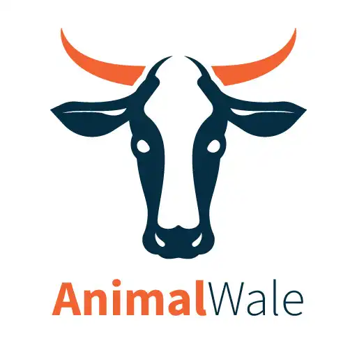 Play AnimalWale APK Play AnimalWale APK
