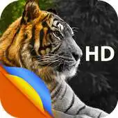 Free play online animal wallpaper backgrounds APK