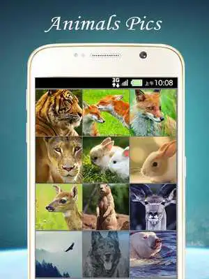 Play animal wallpaper backgrounds