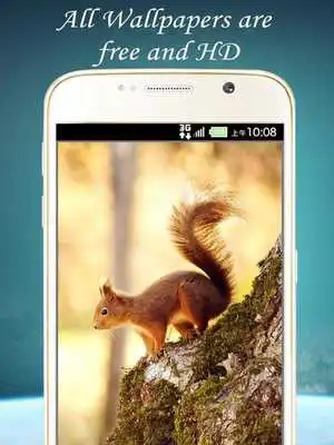 Play animal wallpaper backgrounds