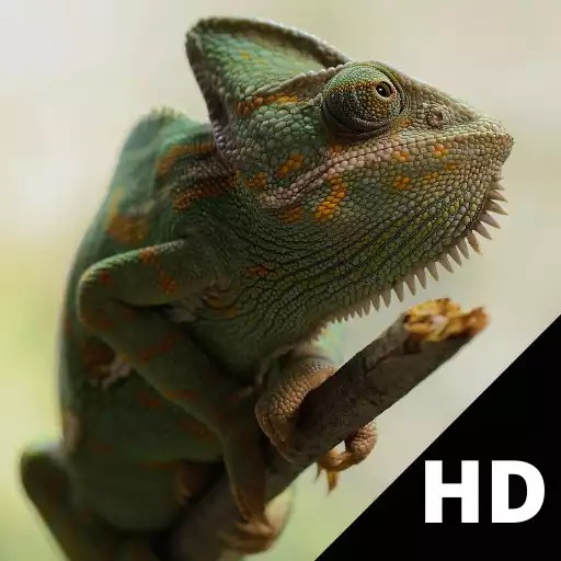 Run free android online Animal Wallpapers HD APK Run free android online Animal Wallpapers HD APK