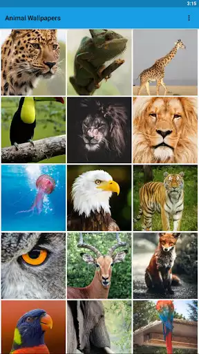 Play APK Animal Wallpapers HD  and enjoy Animal Wallpapers HD with UptoPlay com.ebappstore.animal2