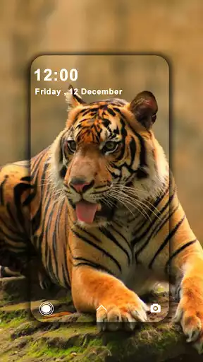 Play APK Animal Wallpapers HD  and enjoy Animal Wallpapers HD with UptoPlay com.ebappstore.animal2