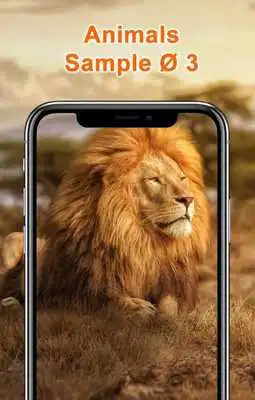 Play Animal Wallpapers HD
