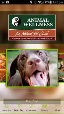 Play Animal Wellness