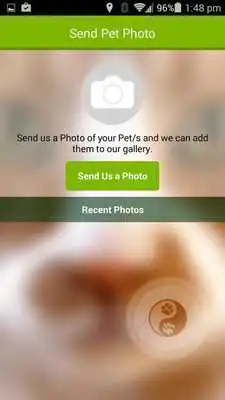 Play Animal Wellness