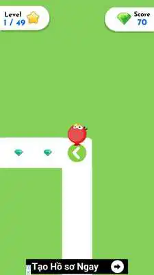 Play Animal ZigZag