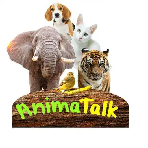 Play AnimaTalk APK
