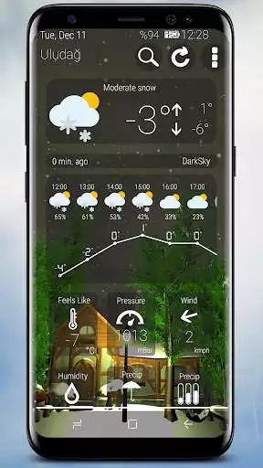 Play Animated 3D Weather