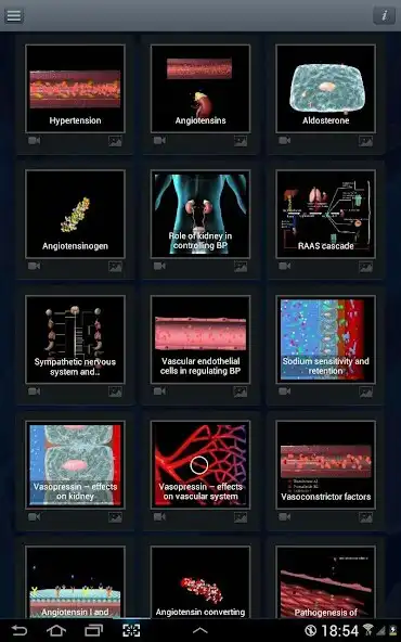 Play Animated Atlas of Hypertension as an online game Animated Atlas of Hypertension with UptoPlay
