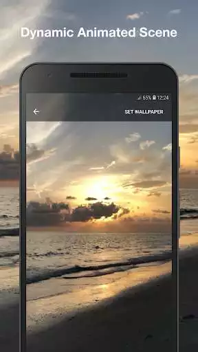Animated Beach Live Wallpaper online game with UptoPlay
