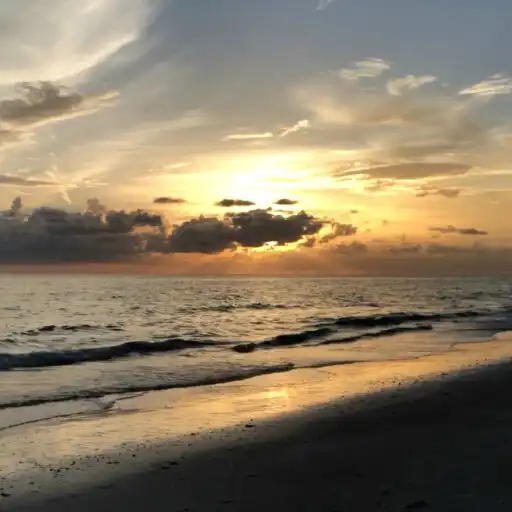 Play Animated Beach Wallpaper Pro APK Play Animated Beach Wallpaper Pro APK