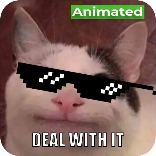 Play Animated Cat Memes - WASticker APK Play Animated Cat Memes - WASticker APK