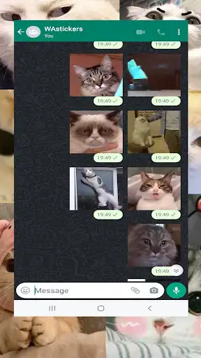 Play Animated Cat Memes - WASticker as an online game Animated Cat Memes - WASticker with UptoPlay