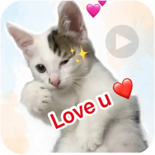 Play Animated Cat Meme WASticker APK Play Animated Cat Meme WASticker APK