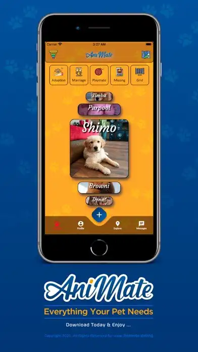 Play Animate - Pet finder app  and enjoy Animate - Pet finder app with UptoPlay