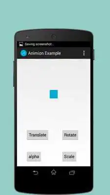 Play Animation Example