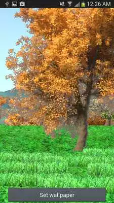 Play Anime Calculator