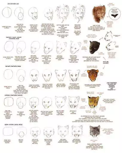 Play Anime Drawing Tutorial