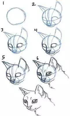 Play Anime Drawing Tutorial