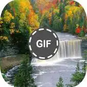 Free play online Anime Gif Live Wallpaper APK